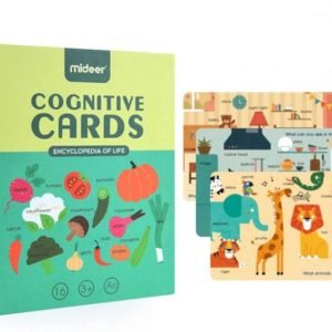 Flash Card for kids